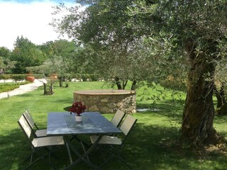 Type de propriété : Ferme Montecarlo Enregistrement extérieur 8