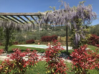 Fattoria Montecarlo Registrazione all'aperto 20