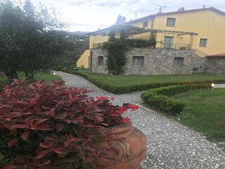 Type de propriété : Ferme Montecarlo Enregistrement extérieur 7