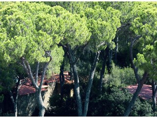 Apartment Castiglione Della Pescaia Umgebung 20