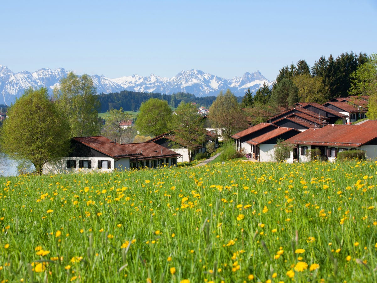 Feriendorf Sommer