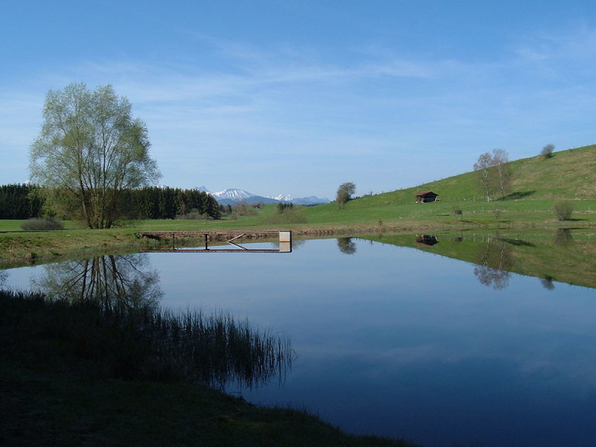 Baderwäldlesee - 10 min. vom Feriendorf