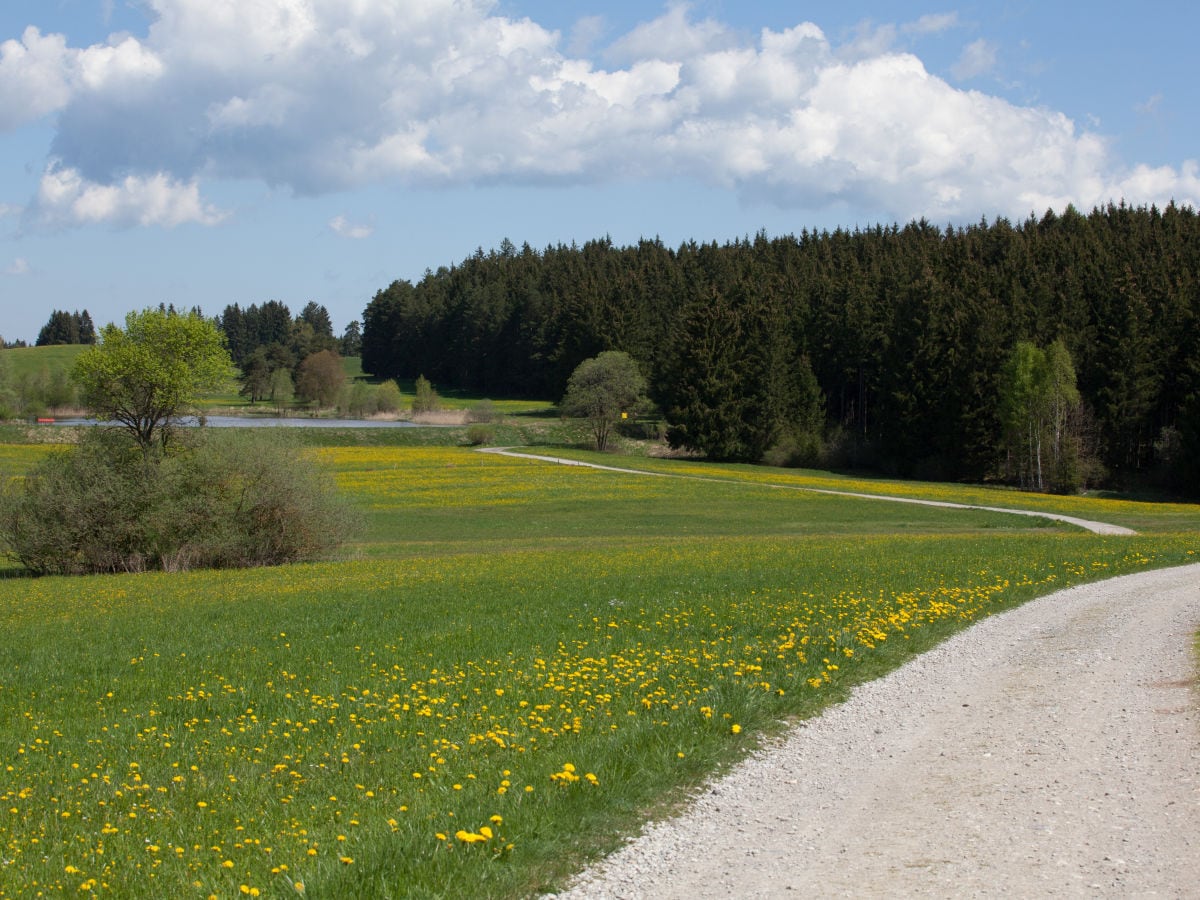 Baderwäldlesee