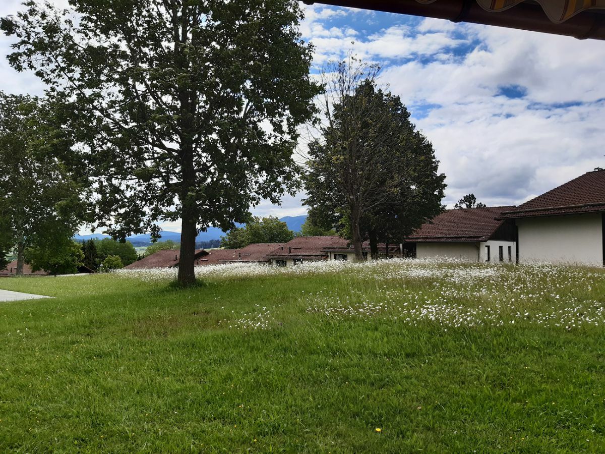 Blick von der Terrasse