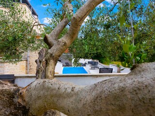 Apartment Nova Vas Outdoor Recording 11