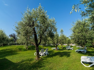 Vakantiehuis San Felice del Benaco Buitenaudio-opname 11