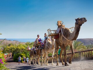 Villa Costa Calma Ambiente 24