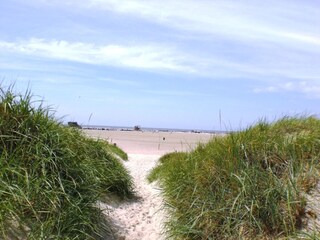 Durch die Dünen zum Meer