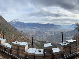 Algunder Waalweg Panorama