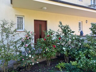 Holiday house Meran Outdoor Recording 4