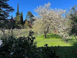 Gartenblick