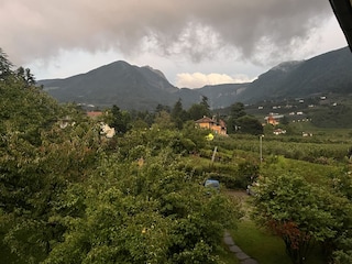 Gartenblick