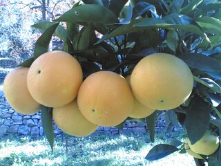 Appartamento per vacanze Imperia Registrazione all'aperto 6