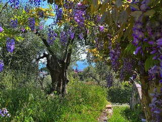 Appartamento per vacanze Imperia Registrazione all'aperto 10