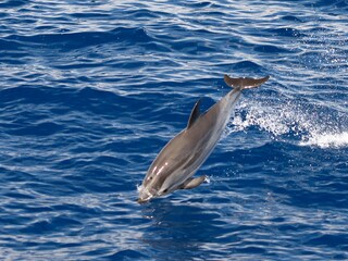 Appartamento per vacanze Imperia Ambiente 30