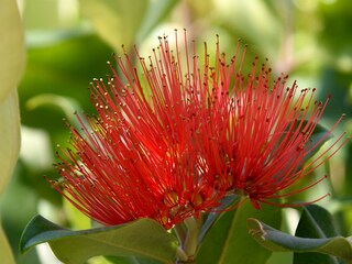 Appartamento per vacanze Imperia Registrazione all'aperto 12