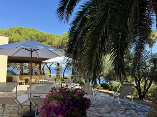 .. inmitten von mediterraner Vegetation