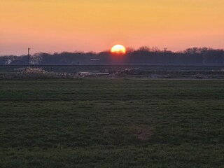Sunset back view