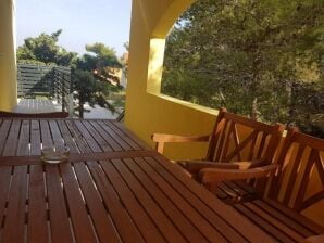 Two bedroom apartment with terrace and sea view Vir - Torovi - Vir - Pedinka, Vir A-22373-c