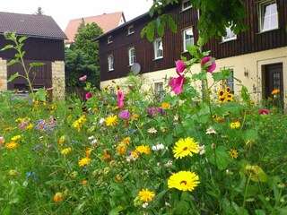 Ferienhaus Weißig Außenaufnahme 1