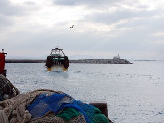 Apartment Roses Environment 15