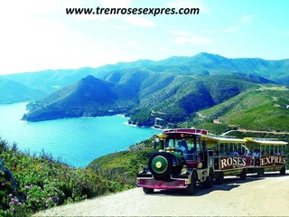 Apartment Roses Environment 29