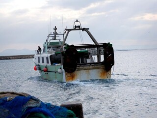 Appartement Roses Environnement 20