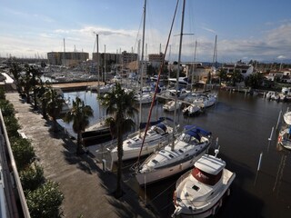 Apartment Roses Environment 10