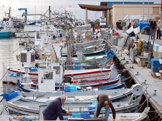 Appartamento Roses Ambiente 21