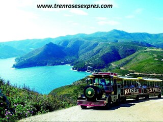 Apartment Roses Environment 20