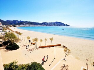 Apartment Roses Environment 14