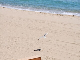 Appartamento Roses Ambiente 19