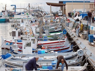 Apartment Roses Umgebung 34