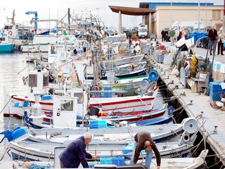 Appartement Roses Environnement 20