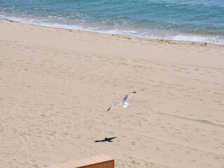 Apartamento Roses Entorno 26