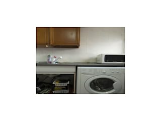 Apartment Roses  26