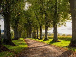 Villa Remilly-Aillicourt Entorno 38