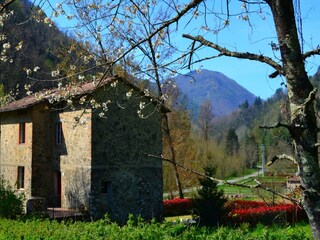 Casa vacanze Pescaglia Registrazione all'aperto 9