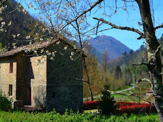 Cottage Pescaglia Außenaufnahme 9