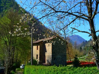 Cottage Pescaglia Außenaufnahme 5