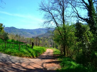 Casa de vacaciones Pescaglia Entorno 27