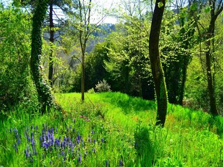 Maison de vacances Pescaglia Environnement 28