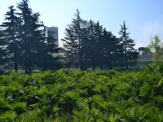 Cottage Pescaglia  36