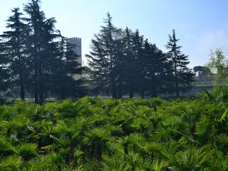 Vakantiehuisje Pescaglia  36