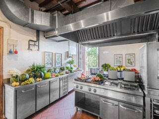 Villa Castelfiorentino Características 66