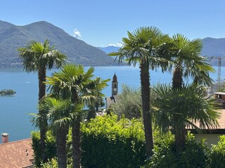 Ferienwohnung Ronco sopra Ascona Außenaufnahme 3