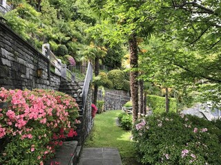 Ferienwohnung Ronco sopra Ascona Außenaufnahme 27