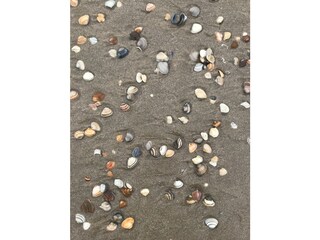 Casa per le vacanze Bergen aan Zee Documento 43