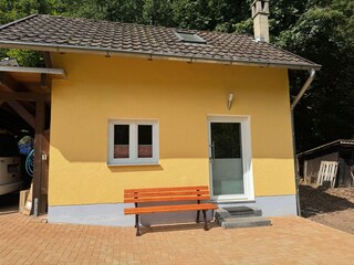 Dormice right at the edge of the forest