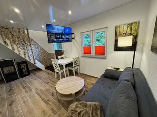 Comfortable couch with LED TV and view of pellet stove